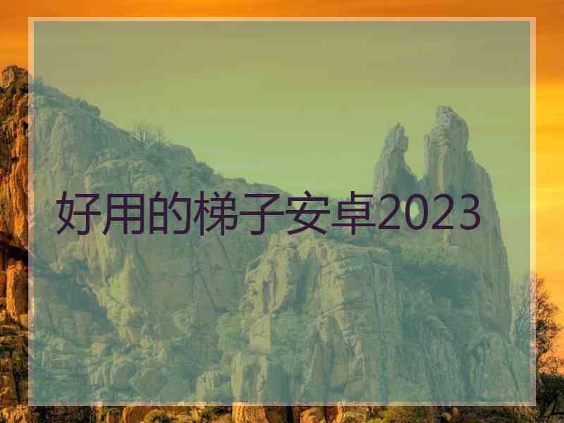 好用的梯子安卓2023