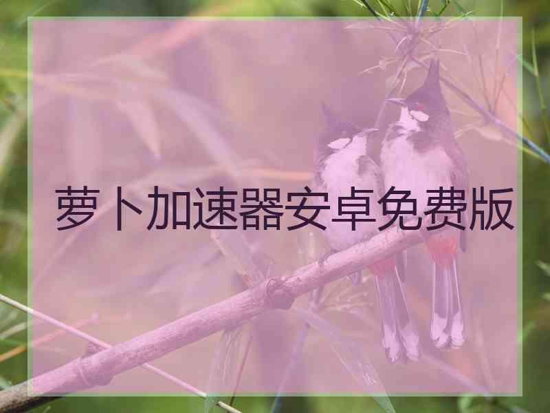 萝卜加速器安卓免费版