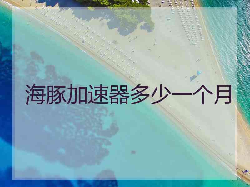 海豚加速器多少一个月