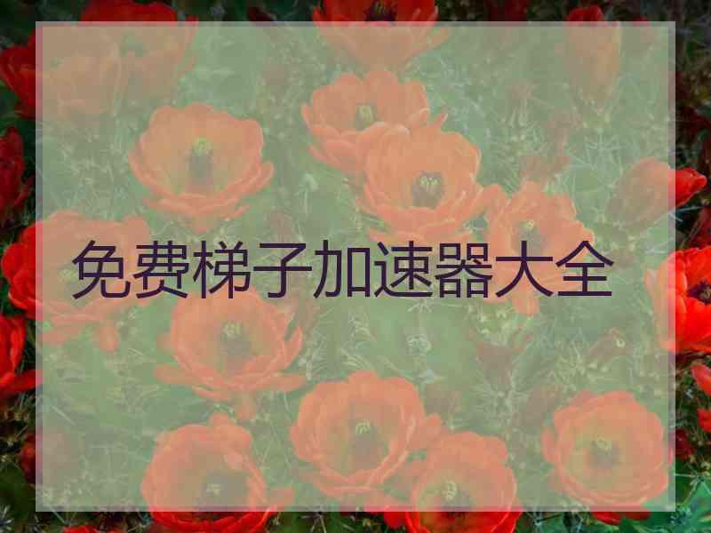 免费梯子加速器大全