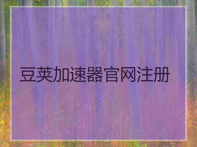 豆荚加速器官网注册