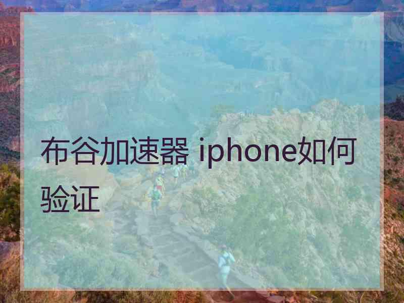 布谷加速器 iphone如何验证