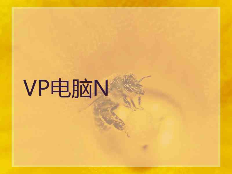 VP电脑N
