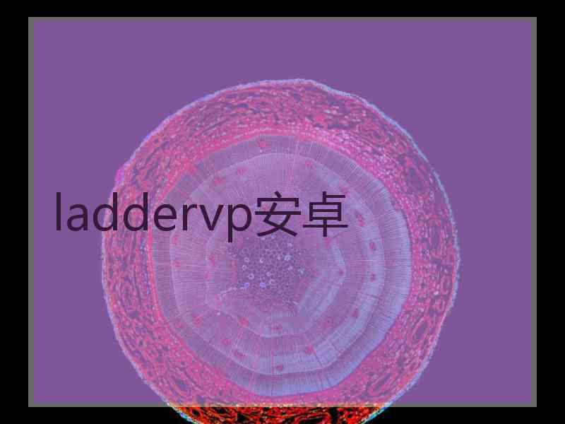 laddervp安卓