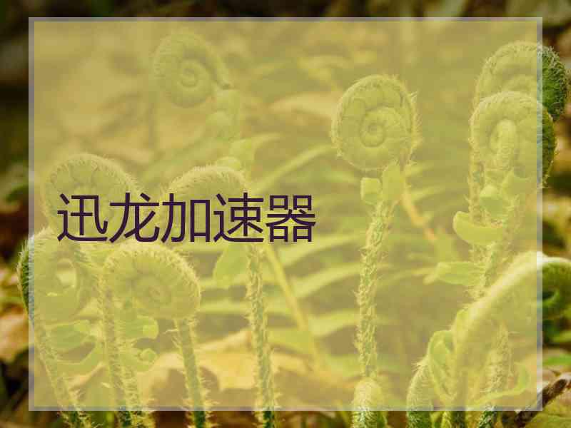 迅龙加速器