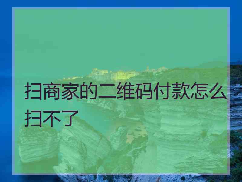 扫商家的二维码付款怎么扫不了