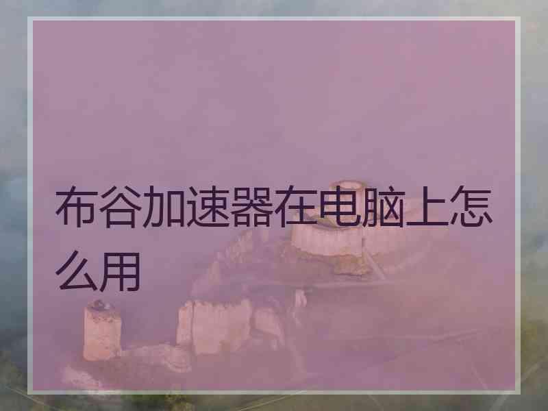 布谷加速器在电脑上怎么用