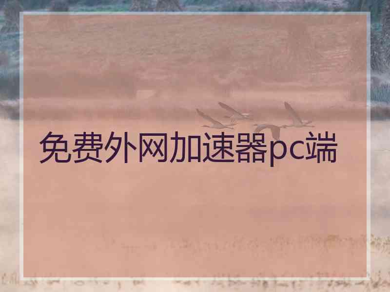 免费外网加速器pc端