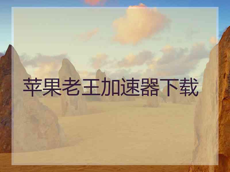 苹果老王加速器下载