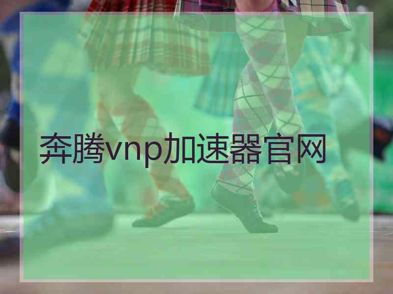 奔腾vnp加速器官网