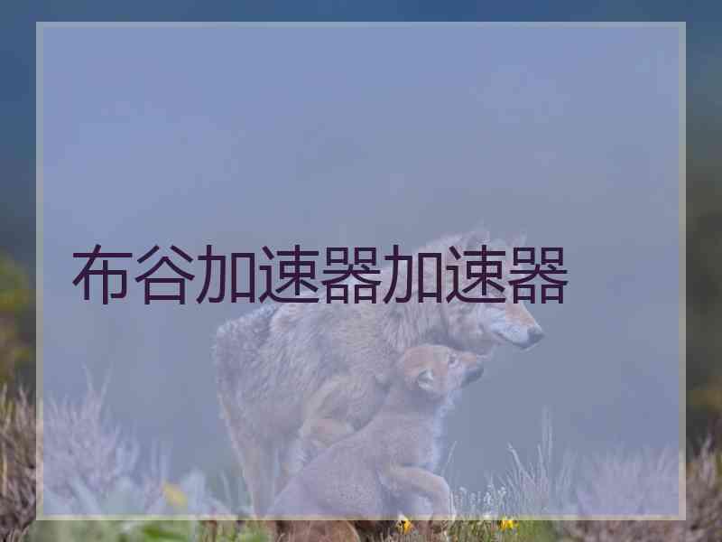 布谷加速器加速器
