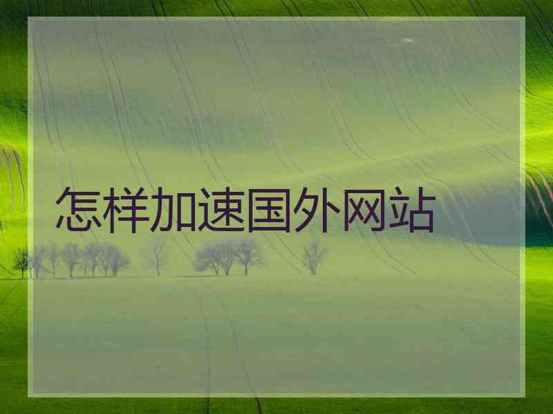 怎样加速国外网站