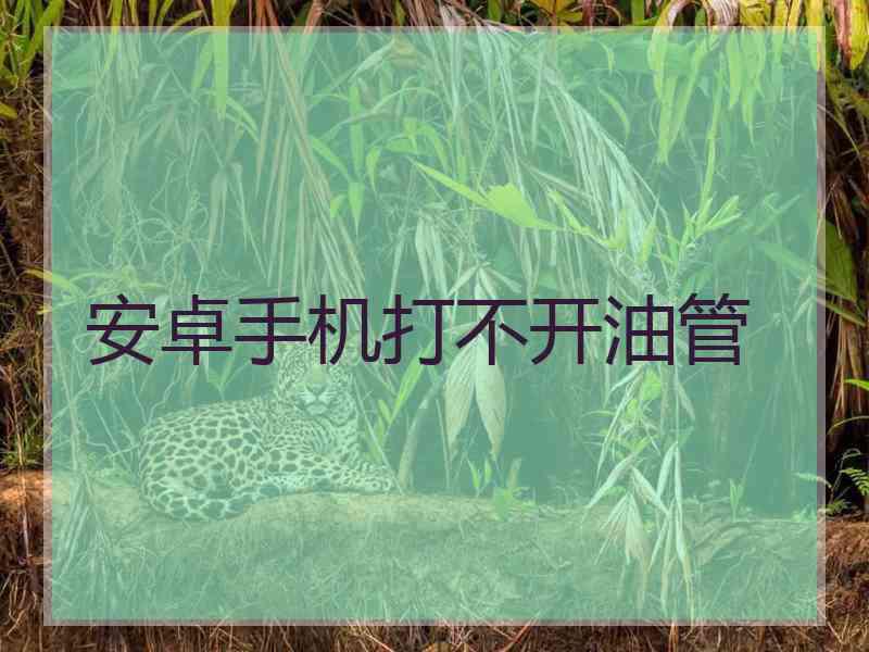 安卓手机打不开油管