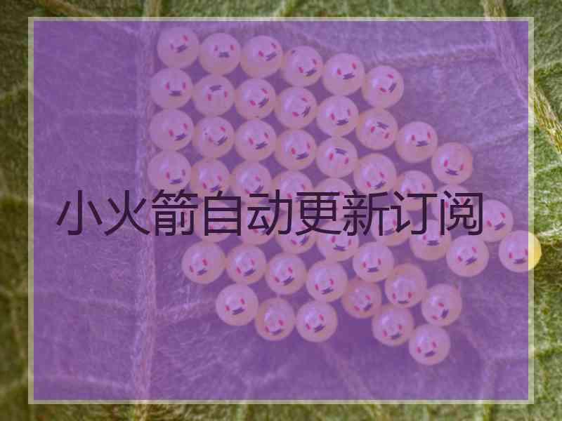 小火箭自动更新订阅