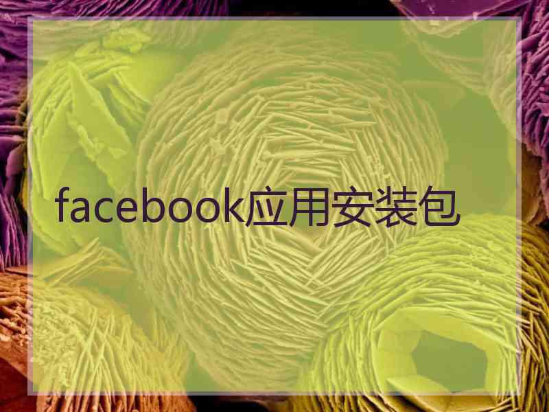facebook应用安装包