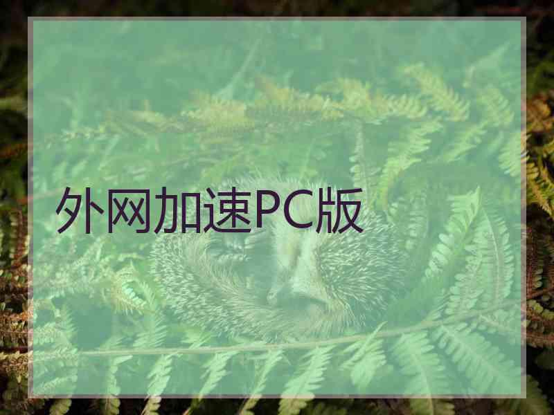 外网加速PC版