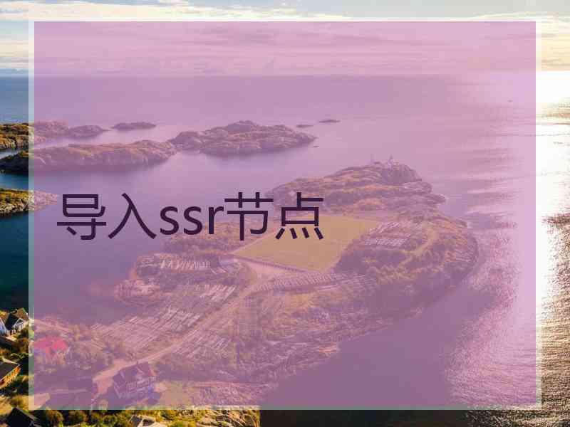 导入ssr节点