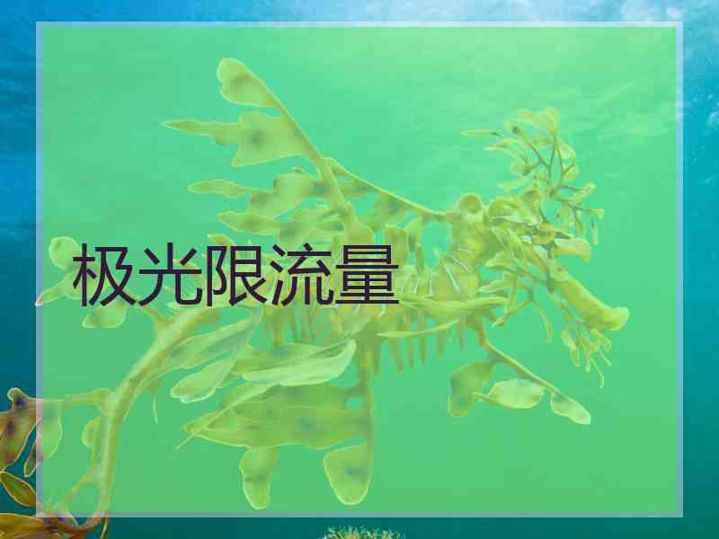极光限流量