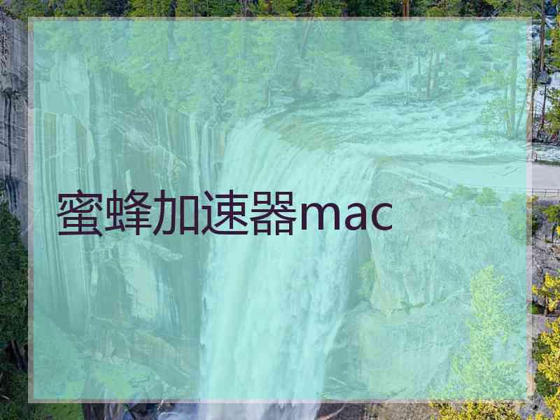 蜜蜂加速器mac