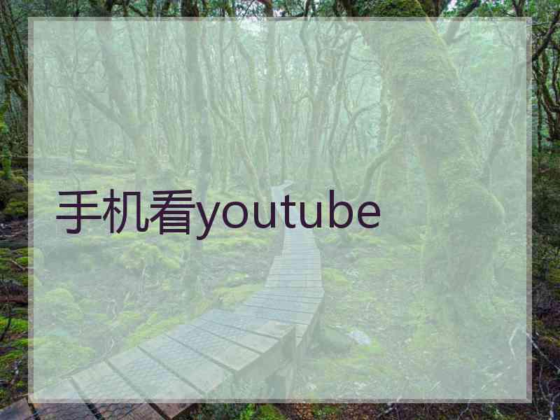 手机看youtube