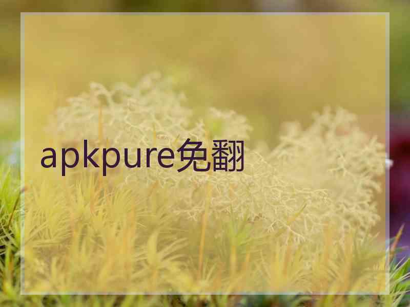 apkpure免翻