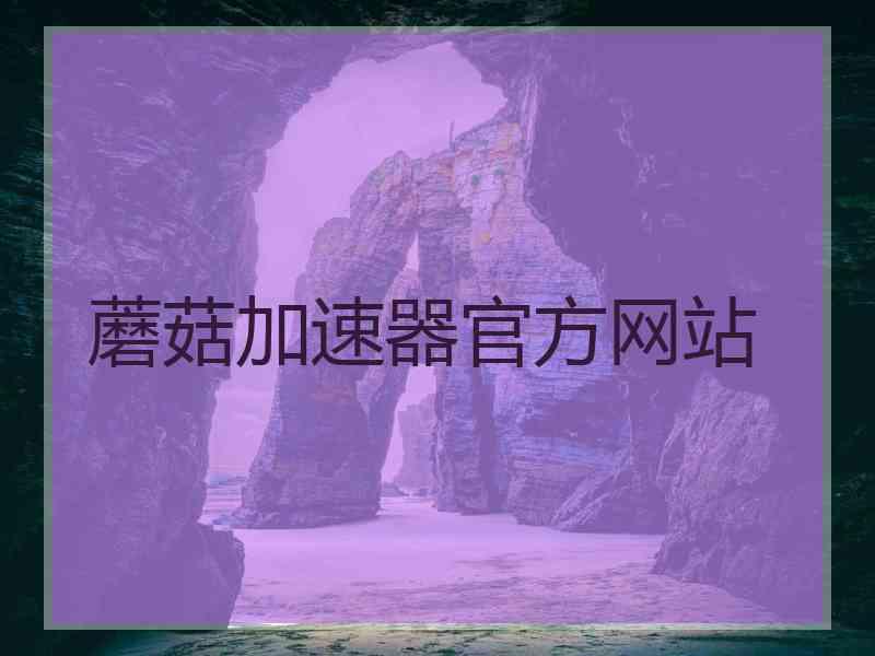 蘑菇加速器官方网站