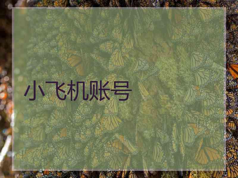 小飞机账号
