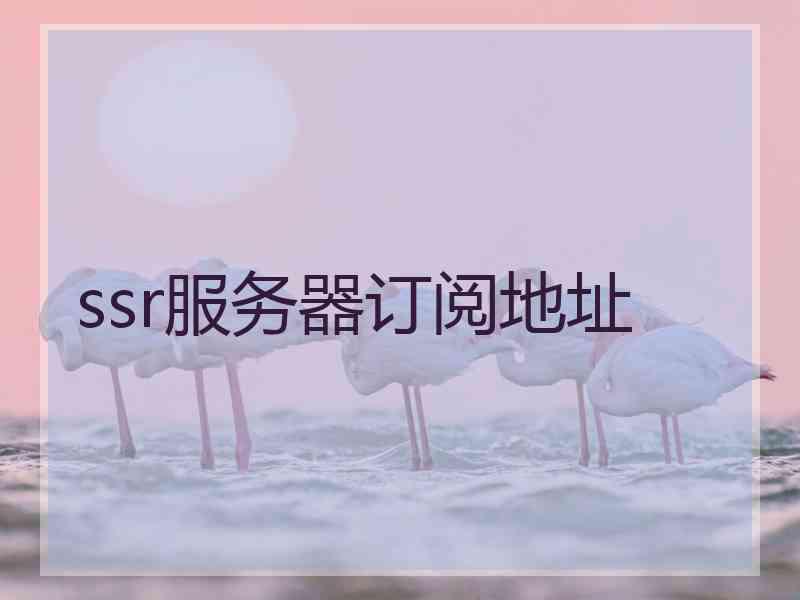 ssr服务器订阅地址