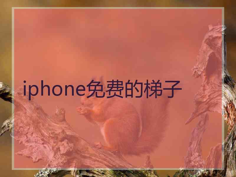 iphone免费的梯子