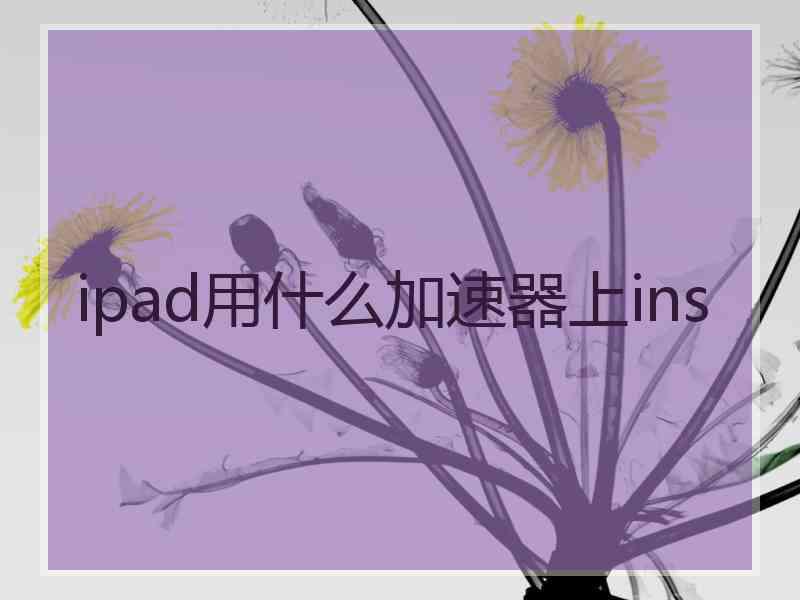 ipad用什么加速器上ins