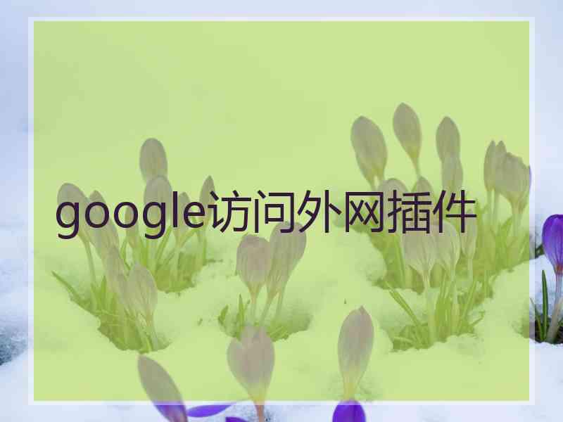 google访问外网插件