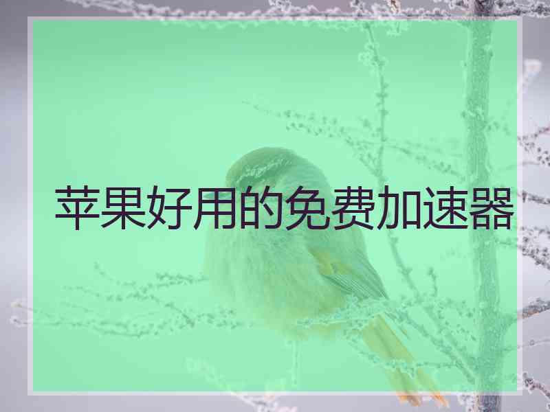 苹果好用的免费加速器