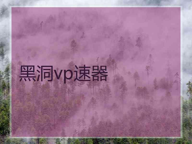 黑洞vp速器