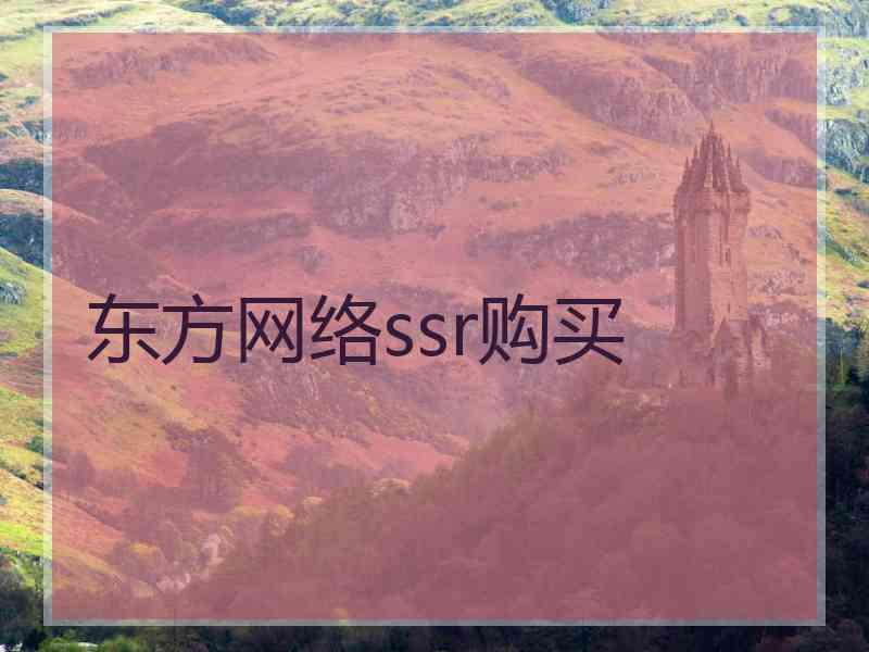 东方网络ssr购买