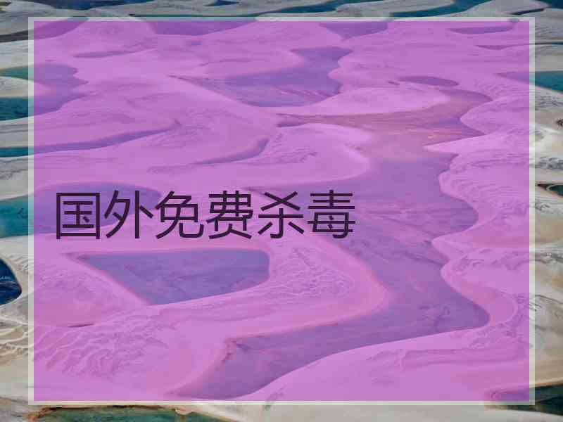 国外免费杀毒