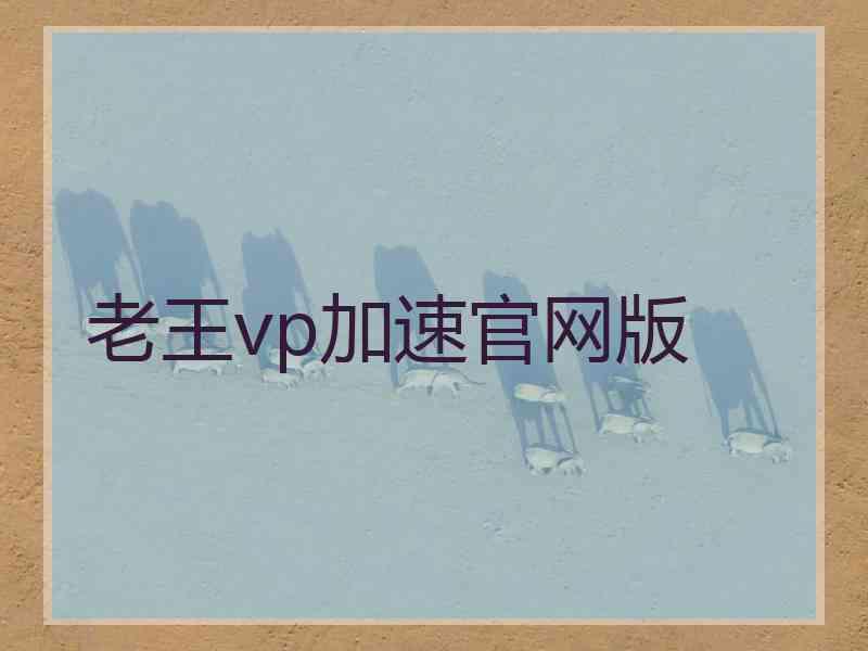 老王vp加速官网版