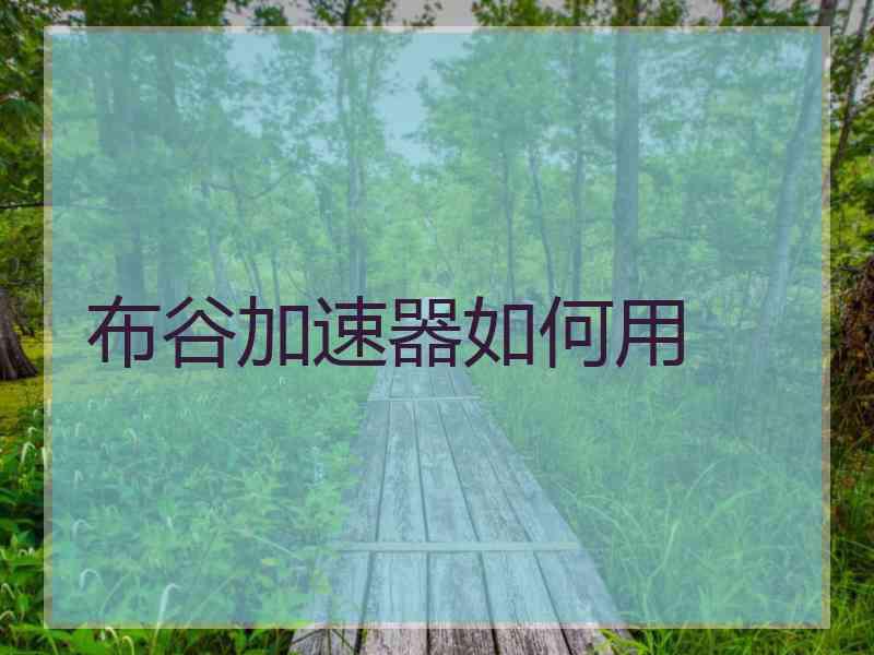 布谷加速器如何用