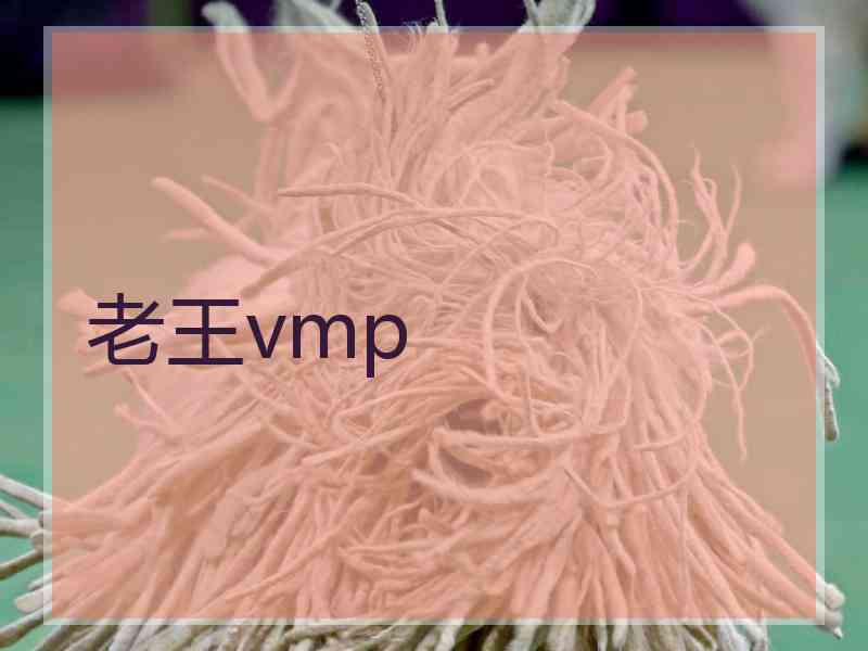 老王vmp
