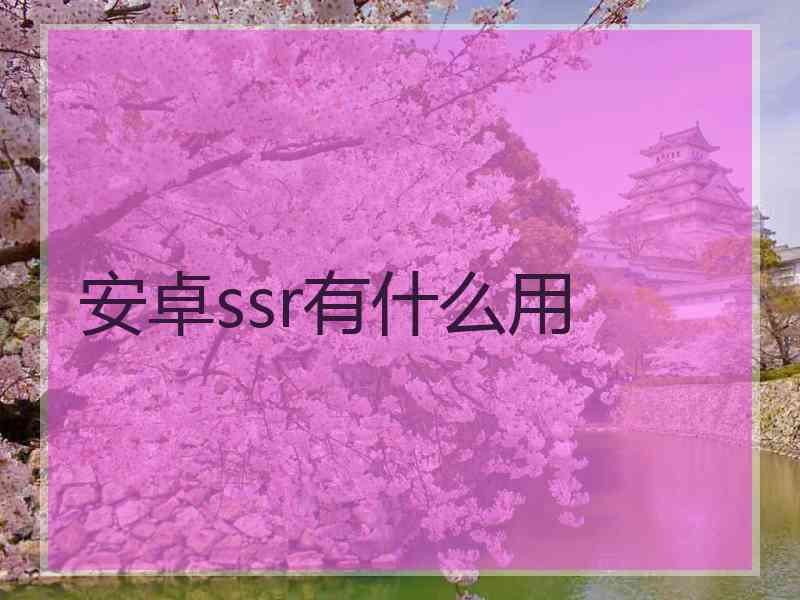 安卓ssr有什么用