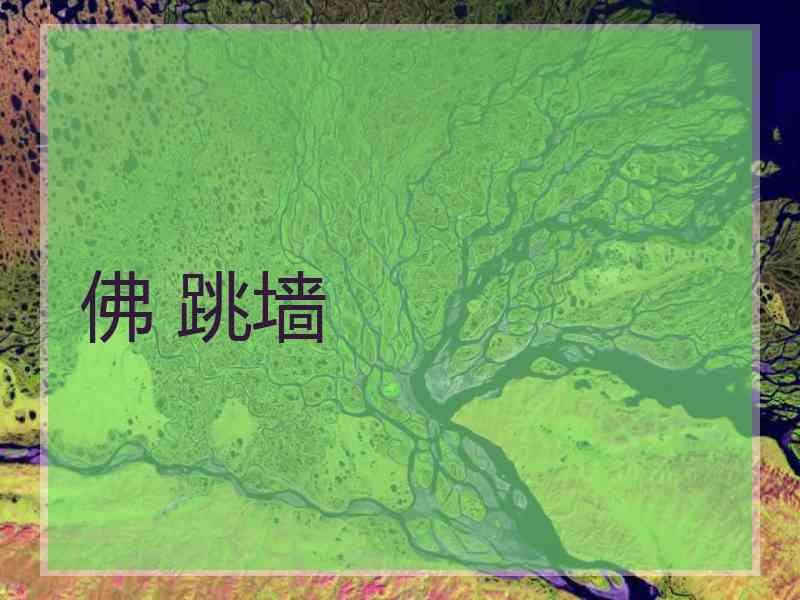 佛 跳墙