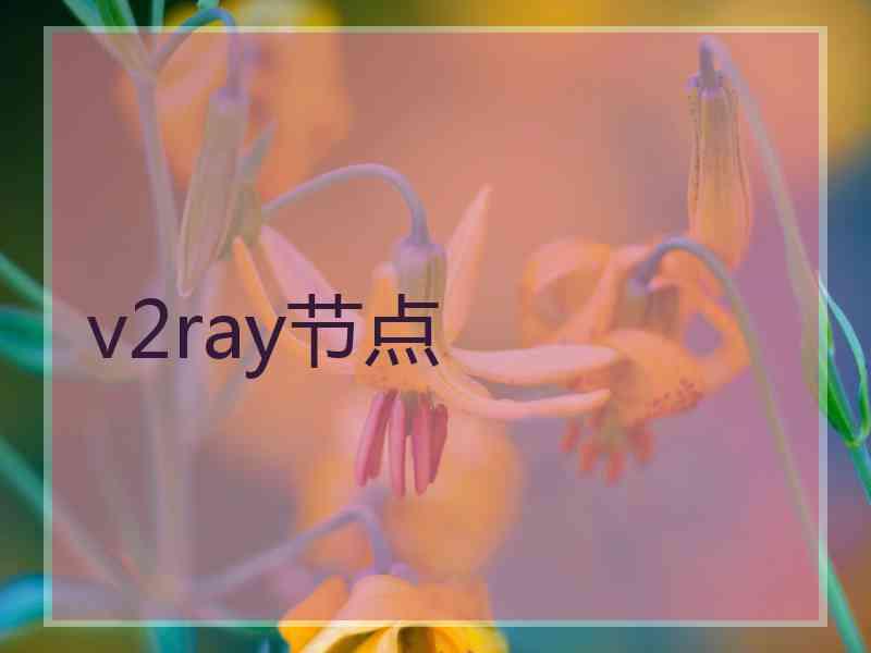 v2ray节点