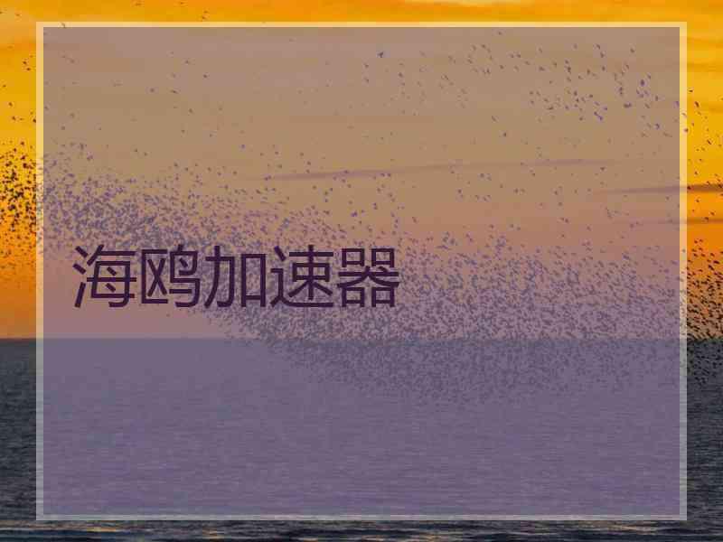 海鸥加速器
