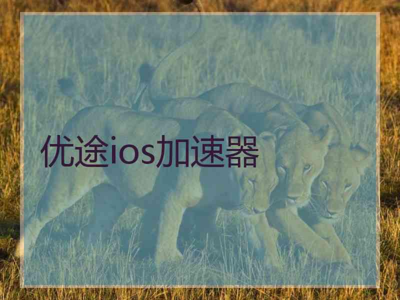 优途ios加速器