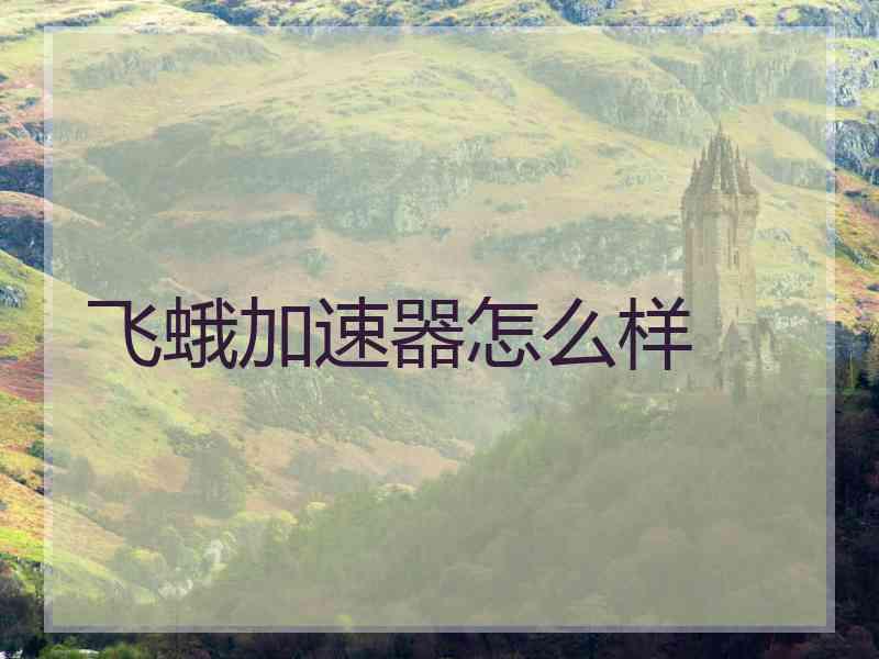 飞蛾加速器怎么样