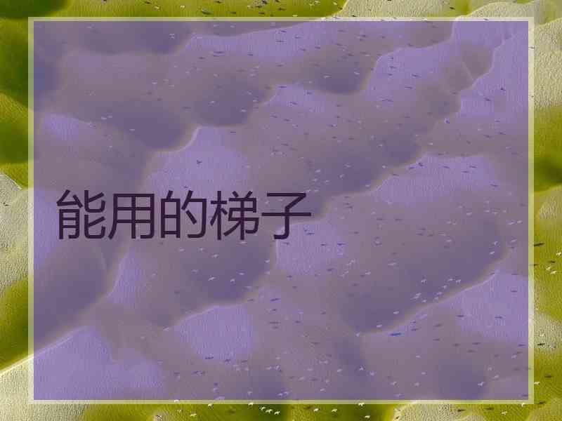 能用的梯子