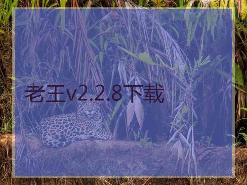 老王v2.2.8下载