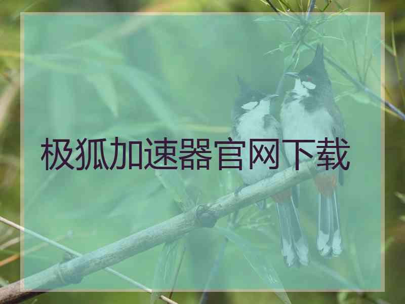 极狐加速器官网下载
