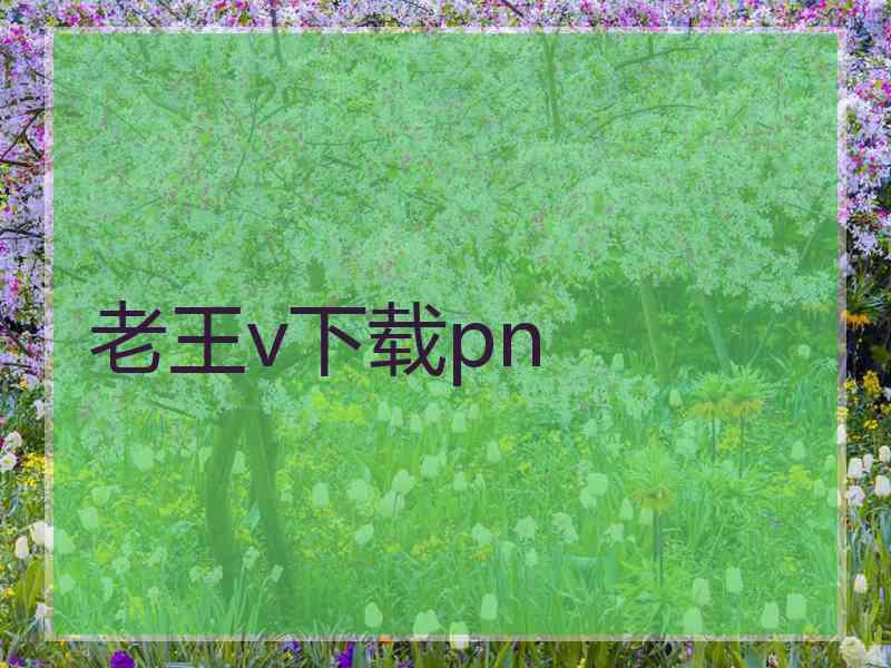 老王v下载pn
