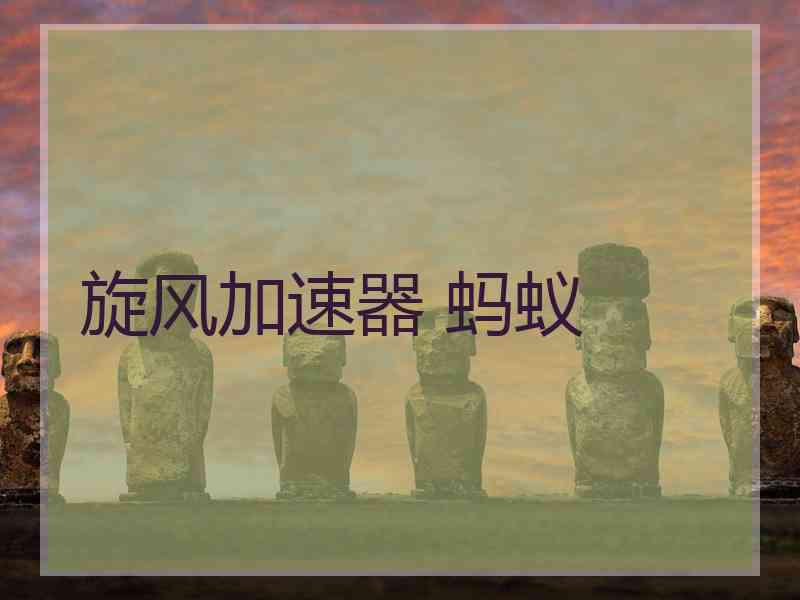 旋风加速器 蚂蚁
