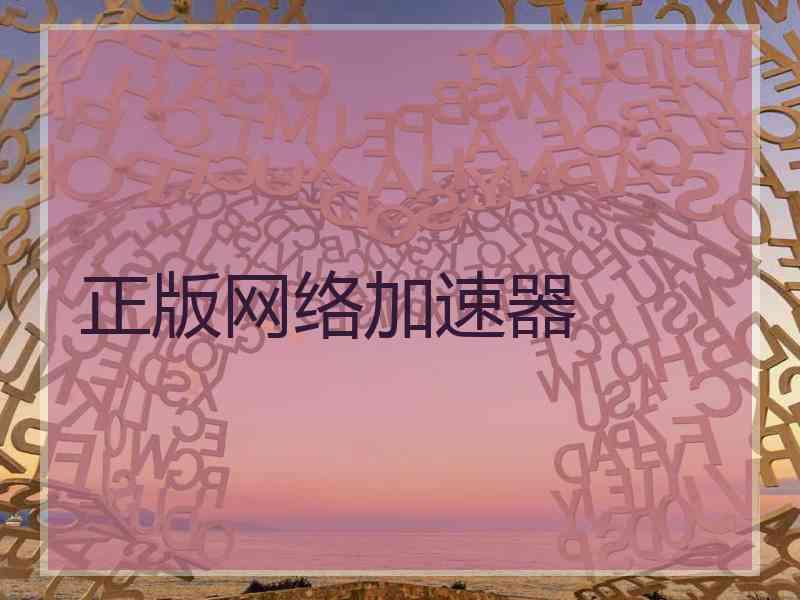 正版网络加速器